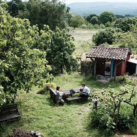 Torre Tanquian Eco Finca - Ribeira Sacra Panton Bagian luar foto