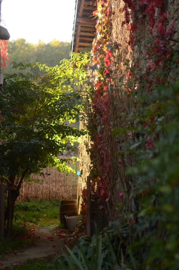 Torre Tanquian Eco Finca - Ribeira Sacra Panton Bagian luar foto