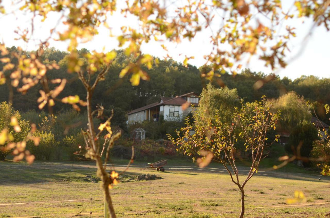 Torre Tanquian Eco Finca - Ribeira Sacra Panton Bagian luar foto
